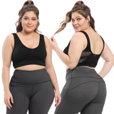 China QUICK DRY S-6XL Plus Size Seamless Wireless Lift Up BH Padded Bra Sports Top Women Wireless Bras for sale