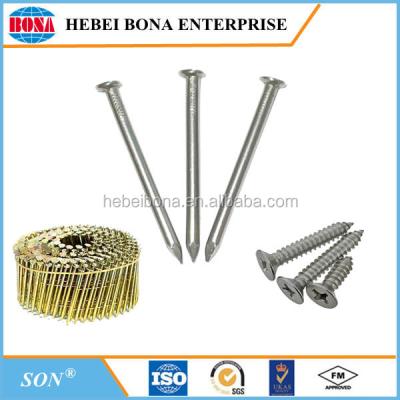 China steel steel nails for sale