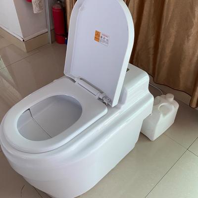 China Hidden Cistern Customized Biological Toilet Western Toilet for sale