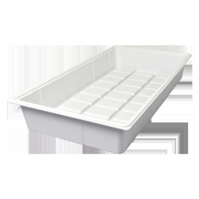 China Planting Good Quality Wholesale Seedling Trays With Holes Table Decorative Tray Serving For Hydroponics for sale