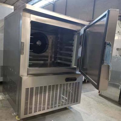 China Small Single-temperature Blast Freezer , Super Cold Freezer 5 Trays Tecumseh Compressor -40 Celsius for sale