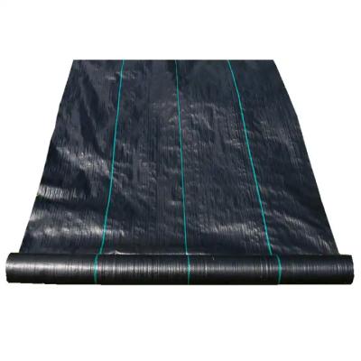 China Erosion Control PP Woven Geotextile Road Construction Fabric Alkali Resistant for sale