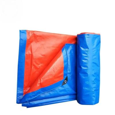 China Pe Waterproof Fabric Tarp Insulated Pe Tarpaulin Curtain Sheet For Poultry for sale