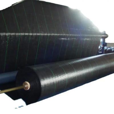 China Woven Fabric Geotextile Weed Control Ground Cover Silt Fence Stabilization Pp Woven Geotextile for sale