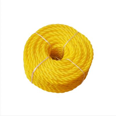 China Trusses PP PE Twine Twisted Rope Chinese Manufacturer for sale