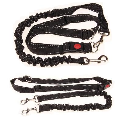 China Quick Release Wholesale New Arrival Nylon Dog Walking Leash For Pet for sale