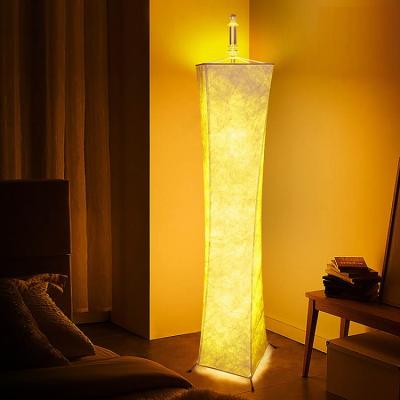 China Modern Floor Lamp RGB Color Changing Lamp Position Lamp For Bed Room Living Room LED Floor Remote Control Light for sale