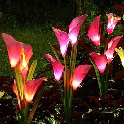 China Outoors Outdoor Patio Pathway Landscape Solar Led Garden Lights 2pack/box, Solar Garden Flower Lights, Outdoor Solor Light for sale