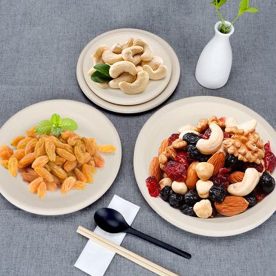 China Disposable Biodegradable Eco Friendly Eco Friendly Party Plates Compostable Sugarcane Bagasse Dish Set for sale