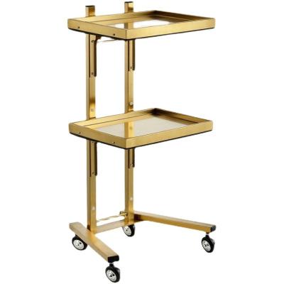 China Modern Hot sale Wholesale hair barber salon furniture tattoo beauty trolley cart trays for sale