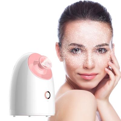 China Hot Portable Hot Moisturizer Mist Face Steamer With Steamer Nano Face Jet Nano Ionic Machine Facial Steamer for sale