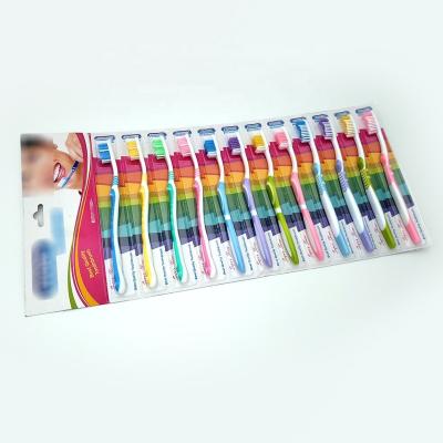 China Home daily use [12 pieces of 3 models packed by blister card] wholesale dozen toothbrushes for sale