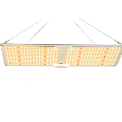 China Seed Starting Lm301B Indoor Bar HPS 600W 1000W 1200W 2000W Full Spectrum COB Plant Plant Hydroponic Lamp UV Sulight Led For Growing Light for sale