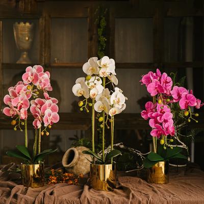 China Real Touch Butterfly Home Decor Artificial Phalaenops Orchid Plant Potted Eco-friendly Wholesale Artificial Orchid Flower With Pot for sale