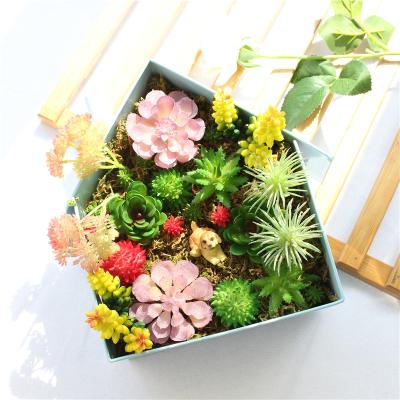 China Various Plant Eco-friendly Plastic Fake Plants Wholesale DIY Mini Plant Luyue Artificial Succulent For Home Decoration for sale