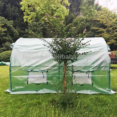 China Easily Assembled Agriculture Aitifreezing Large Conservative Plant Grow Tent Box Anti-UV Green House for sale