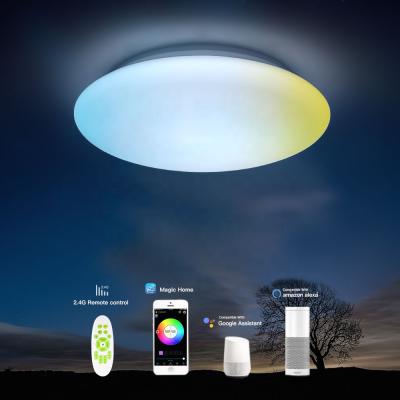 China Amazon Alexa Google Home IFTTT Luxury Smart Ceiling Light Lamp 12 Inch Fit LED WiFi Dimmable Flush Mount Bedroom Living Room for sale