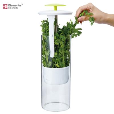 China Sustainable extra large glass Herb Keeper design for greens and vegetables for sale