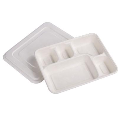 China Hot Sell Biodegradable 2 3 4 5 6 Compartments Lunch Plate Food Tray Bento Box Lunch Container Fast Food Box With PET Lid for sale