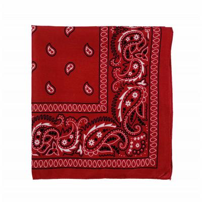 China Hip Hop Ladies Men 54x54cm Soft Fashion Luxury Handkerchief Handkerchief Paisley Square Floral Printing Scarf for sale