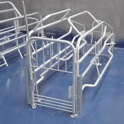 China Durable Sow Used Pig Farrowing Crates For Pig Farm Equipment for sale