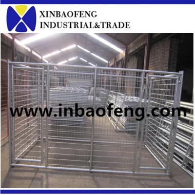 China Xinbaofeng Large Iron Viable Dog Cage Portable Dog Fence for sale