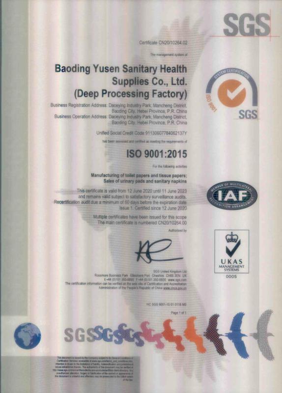 ISO9001 - Baoding Yusen Sanitary Health Supplies Co., Ltd.