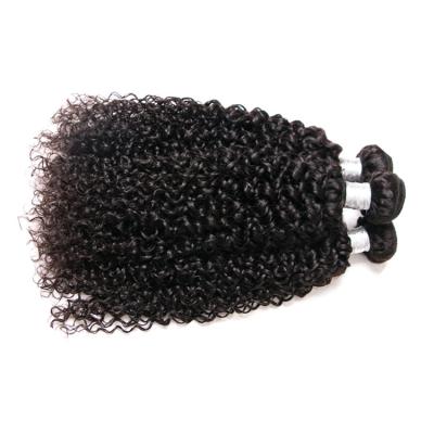 China Grade 10A Deep Curly Top Virgin Brazilian Hair Weaving Extensions 100% Deep Curly Hair for sale