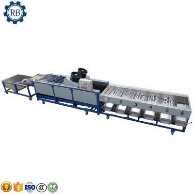 China Fruit Processing Plant Orange Washing Waxing Sorting Machine Apple Drying Waxing Grading Machine Fruit Process Machine for sale