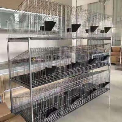 China Rabbit Farms H Type Cage Galvanized Commercial Rabbit Cages Breeding for sale