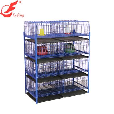 China Easy To Clean Laying Cages Brood Fattening Cages for sale