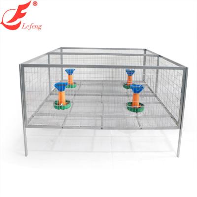 China Farms Chain Free Chicken Cage for sale