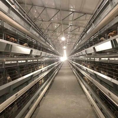 China Farms wholesale hot dip galvanized stacked layer cages chicken cage breeding machinery and equipment customization farms restaurant for sale