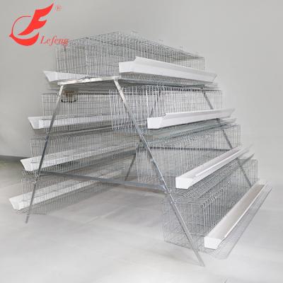 China Easy Clean A Type Chicken Crates Farming Equipment Cages For Layers for sale