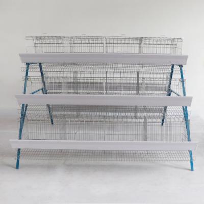 China Farms High Qulity Low Price Cage System For Layers Poultry Farm Cages Stepped Layer Cage Chicken Cage for sale