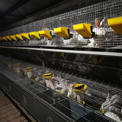 China Farms Automatic Animal Cages Commercial Rabbit Cages Chicken Cages for sale