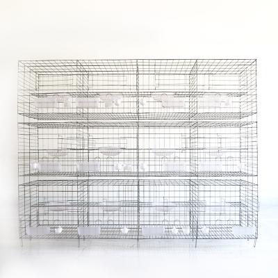 China Auail Pgeon Metal Farms Economy Customizable Durable Commercial Poultry Cage Rustproof H Type Rustproof Galvanized Cage for sale