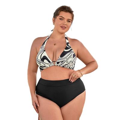 China Custom Plus Size Designer Halter Print Swimwear 2 Women Plus Size Bikini Set Two Piece Swimwear for sale