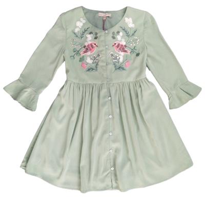 China Casual Girl Year Clothes Autumn Chiffon Dress With Embroidery For 3-14 Years Old Girls for sale