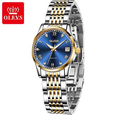 China 6602 Olevs Waterproof Fashion Mechanical Automatic Skeleton Lady Fashion Watch Luxury Women for sale