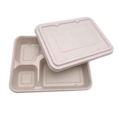 China Bio-degradable Rectangle Disposable Sugarcane Bagasse Biodegradable Food Tray with Lid for sale