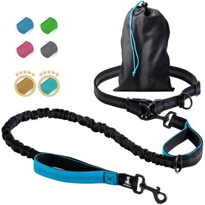 China 5 Size Hands Free Pet Shop Hands Free Dog Leash Professional Retractable Working Walking Harness With Reflective Dots for sale