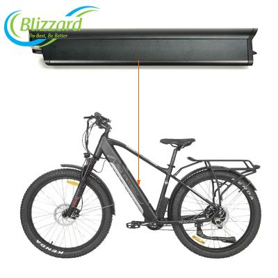 China Reention electric bike battery pro eel 36v 13ah inner battery 48v 14ah 12.8ah for roadster G3 FLX GEN 1 trail F4 megamo ebike for sale