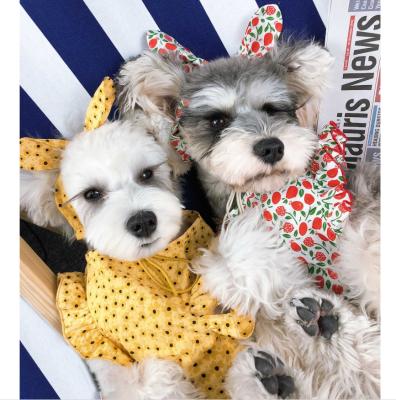 China Sustainable Pet Clothes Summer Thin Breathable Dog Dress Lovely Princess Dress Pet Clothing for sale