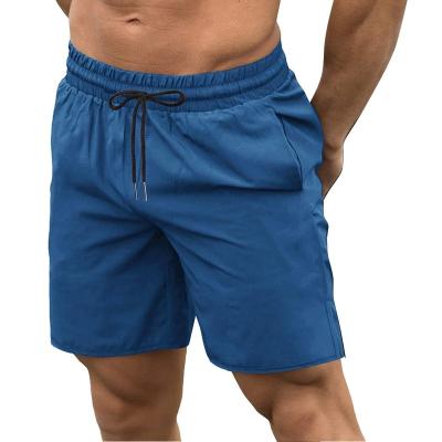 China Wholesale Custom Sublimation Waterproof Summer Breathable Mesh Shorts 5 Inch White Inseam Mesh Shorts Men With Pockets Fashion Sweatpants for sale