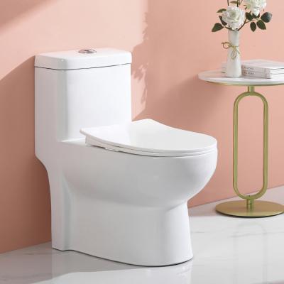 China Double-Flow Modern One-Piece Toilet for sale