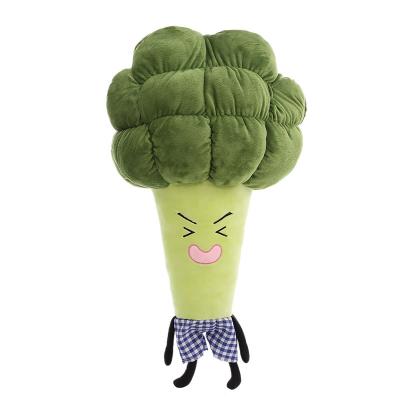 China Fasion Lovely Baby Broccoli Plush Toy Stuffed Cute Soft Cushion Pillow Cartoon Broccoli Best Gift For Kids for sale