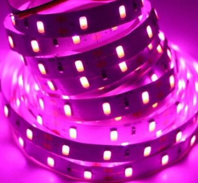 China Office SHENZHEN Factory SMD 5630 Red 5730 60led/m IP20 IP65 LED Strips DC12V Led Flexible Lighting for sale