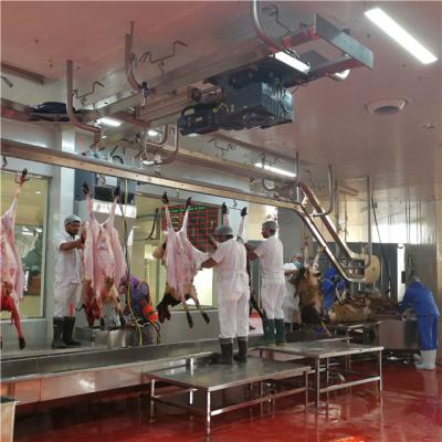 China Sheep Hajj Slaughterhouse Ram Slaughterhouse With Lamb Butcher Meat Slaughtering Process Equipment for sale