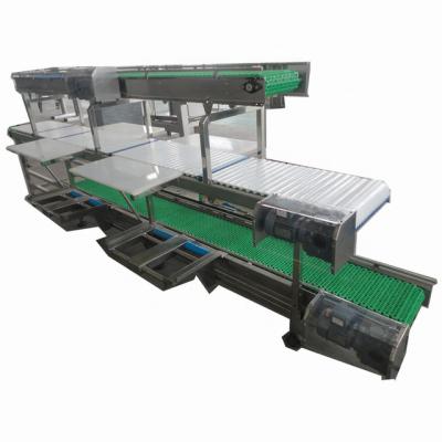 China Customized Slaughter Line Cattle Flesh Boning And Cut Conveyor For Meat Process Plant for sale